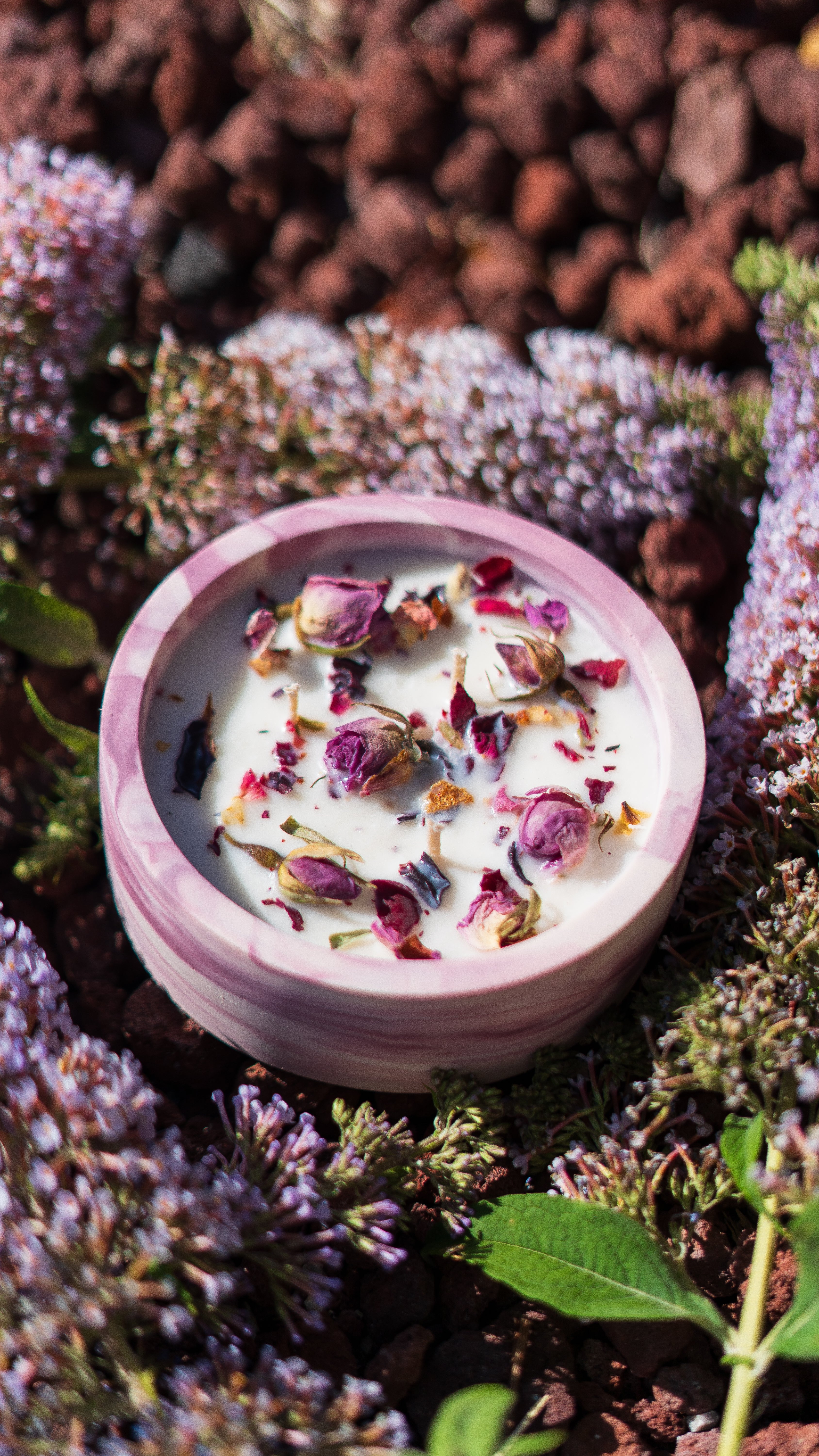Rose Natural Soy Candle in Plaster Cup