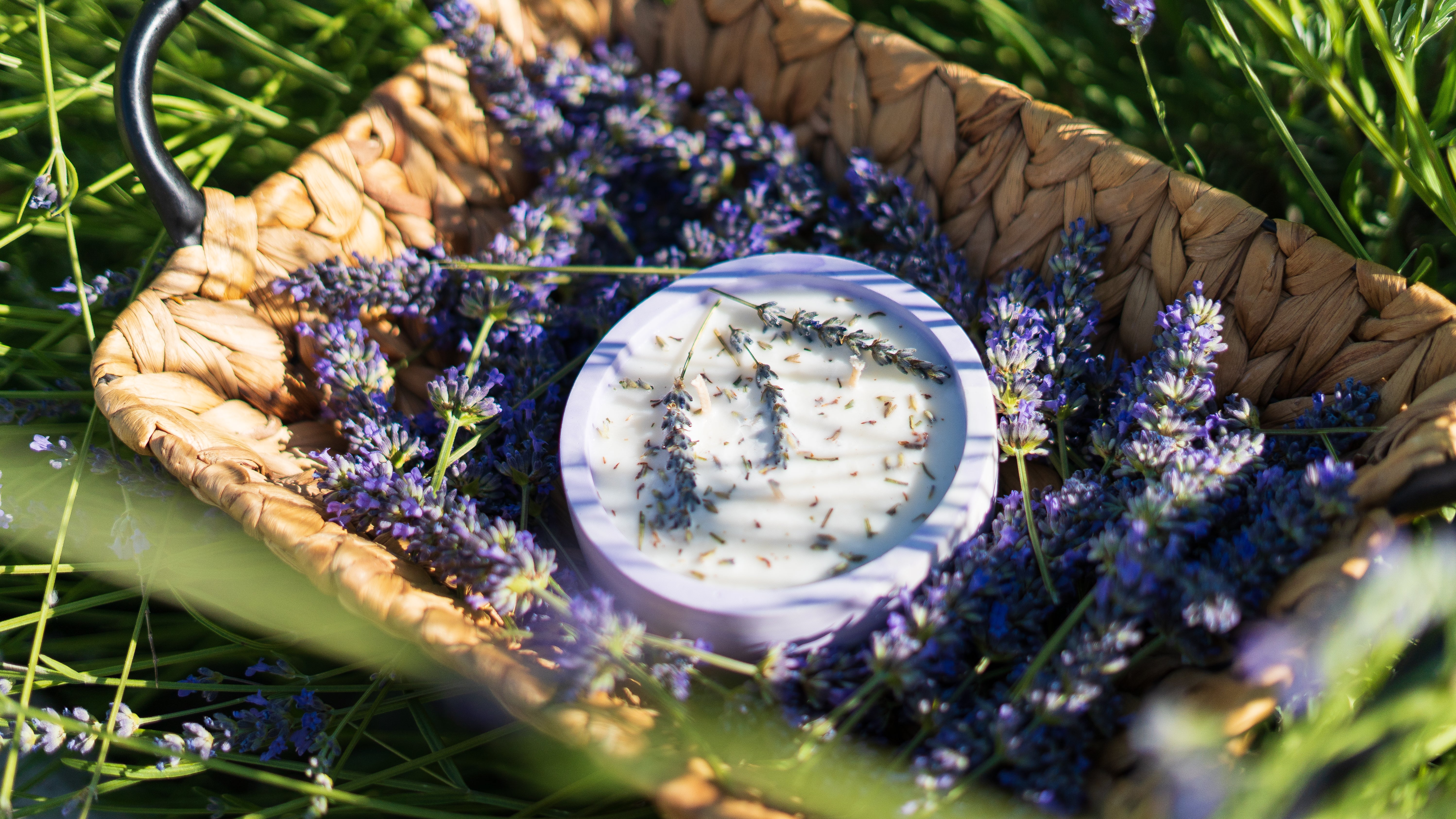 Lavender Natural Soy Candle in Plaster Cup